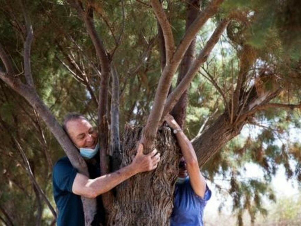 Abrazadores de árboles en la actualidad: