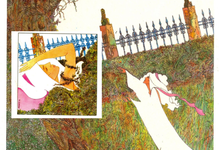 "Jardín" (Ilustración a partir de las portadas de los libros "Jardín", de Dulce María Loynaz, y de Garrandés).