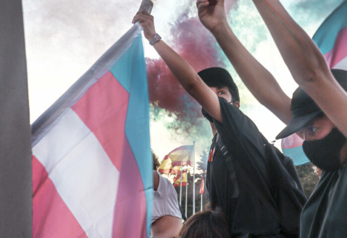 manifestación con banderas trans