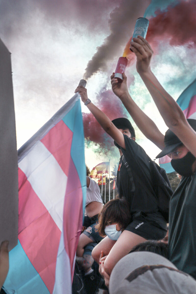 manifestación con banderas trans