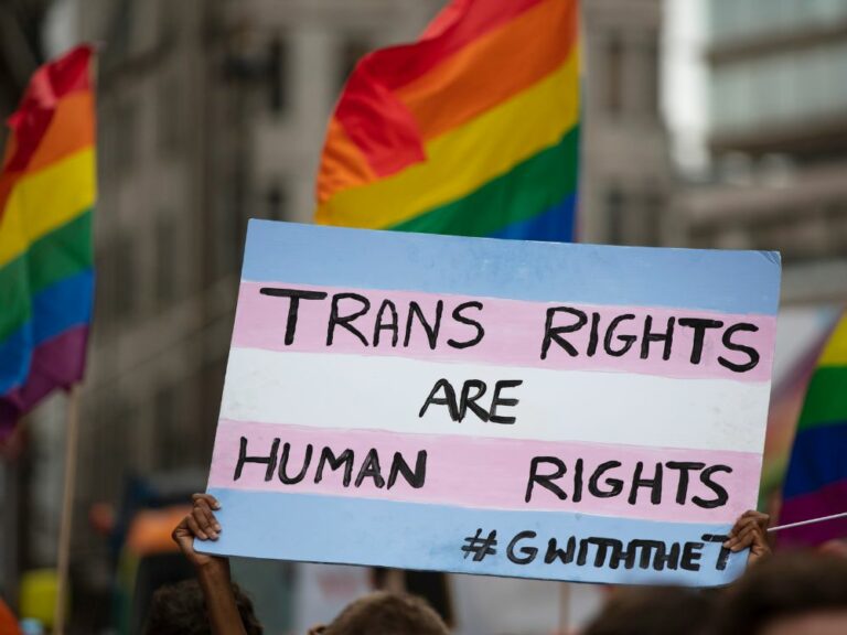 cartel en medio de una manifestación en favor de las personas trans