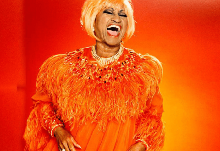 Retrato de la cantante cubana Celia Cruz donde predomina el color naranja (peluca, ropa y fondo).