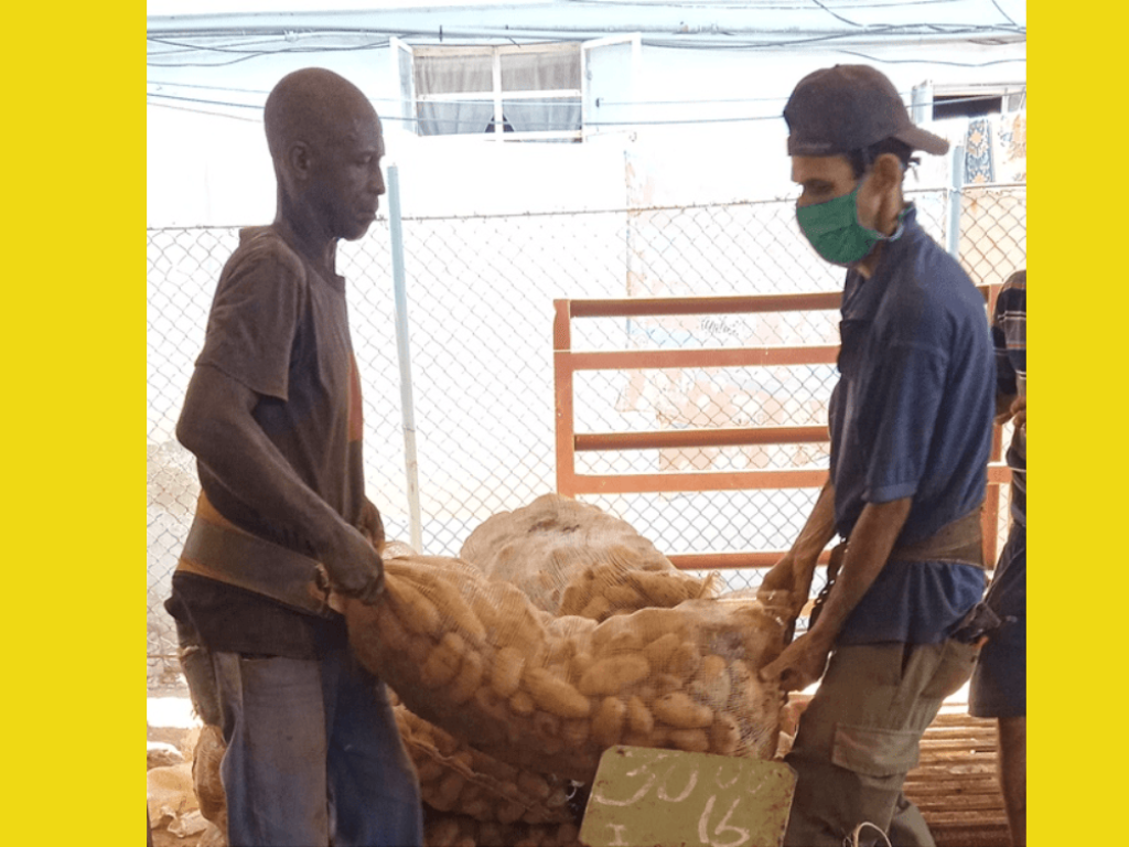 Dos personas cargan un saco de papas en un agromercado en Cuba.