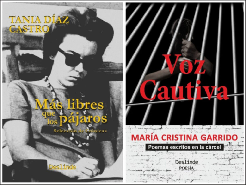 Portadas de "Más libres que los pájaros", de Tania Díaz Castro y de "Voz cautiva", de María Cristina Garrido.