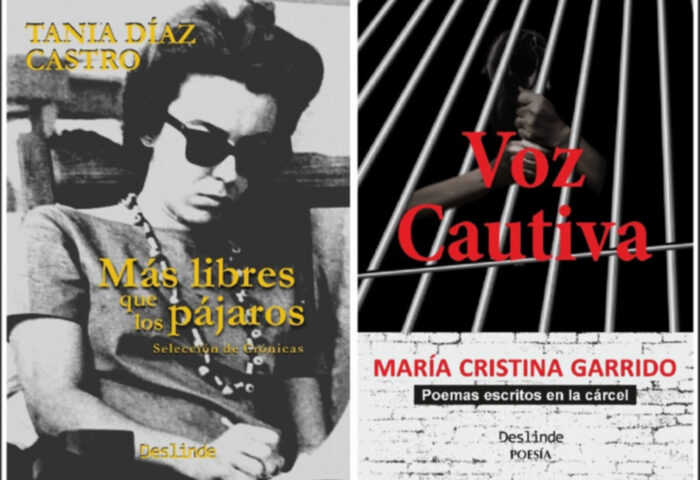 Portadas de "Más libres que los pájaros", de Tania Díaz Castro y de "Voz cautiva", de María Cristina Garrido.