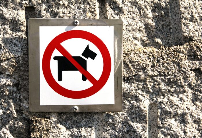 imagen de prohibido pasar con perros sobre una pared gris