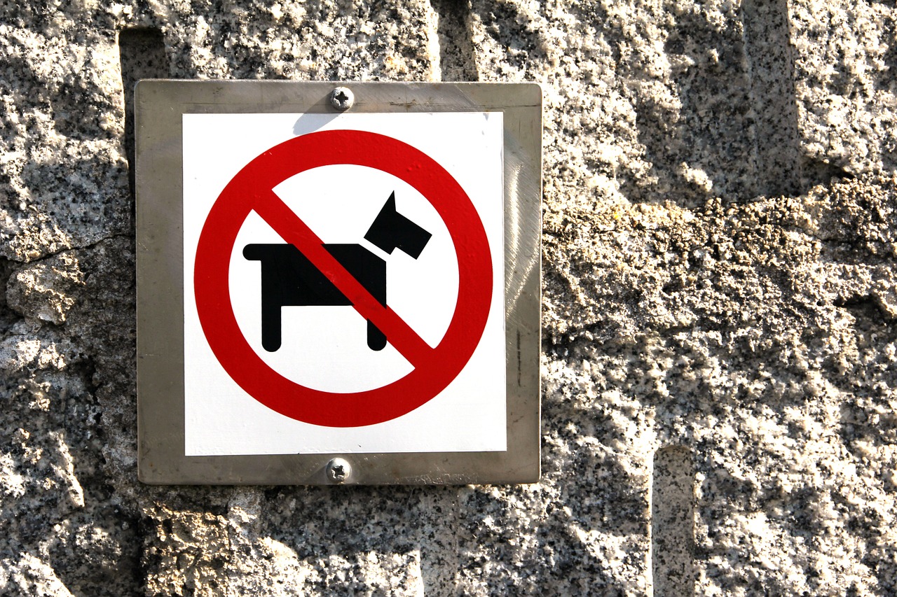 Cuento ⎸El tamaño de los perros