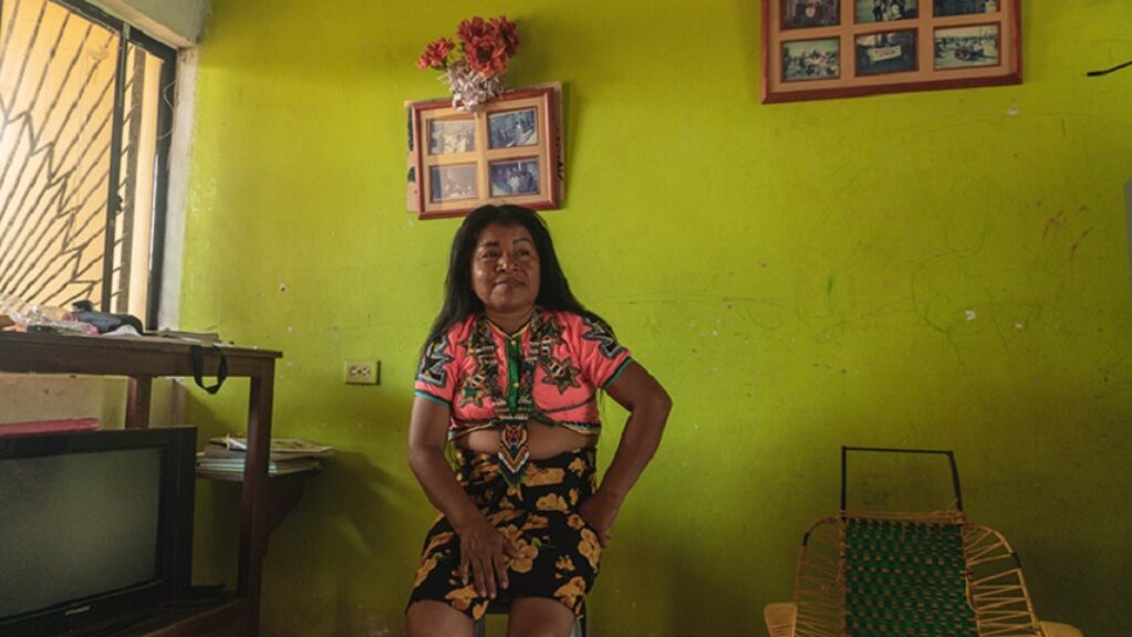 mujer de rasgos indígenas en la sala de una casa