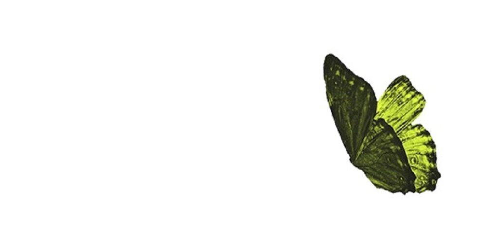 mariposa, detalle de la ilustración de portada