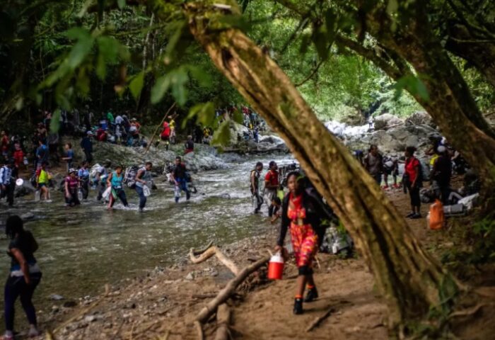 Emigrantes cruzando la selva del Darién. Foto: The New York Times.