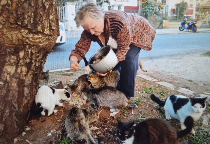 Ella Razumova, alimentando los gatos callejeros de El Vedado. Imagen: Fidel Gómez Guell
