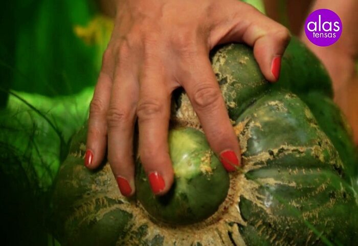 Fotograma del videoarte “Crónicas de Cocina”, de la artista argentina Carolina Rojo, ganadora del Premio Internacional Intemperie