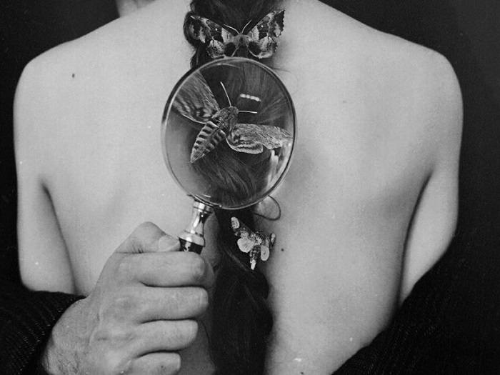 Poesía sueca | Mi piel está llena de mariposas