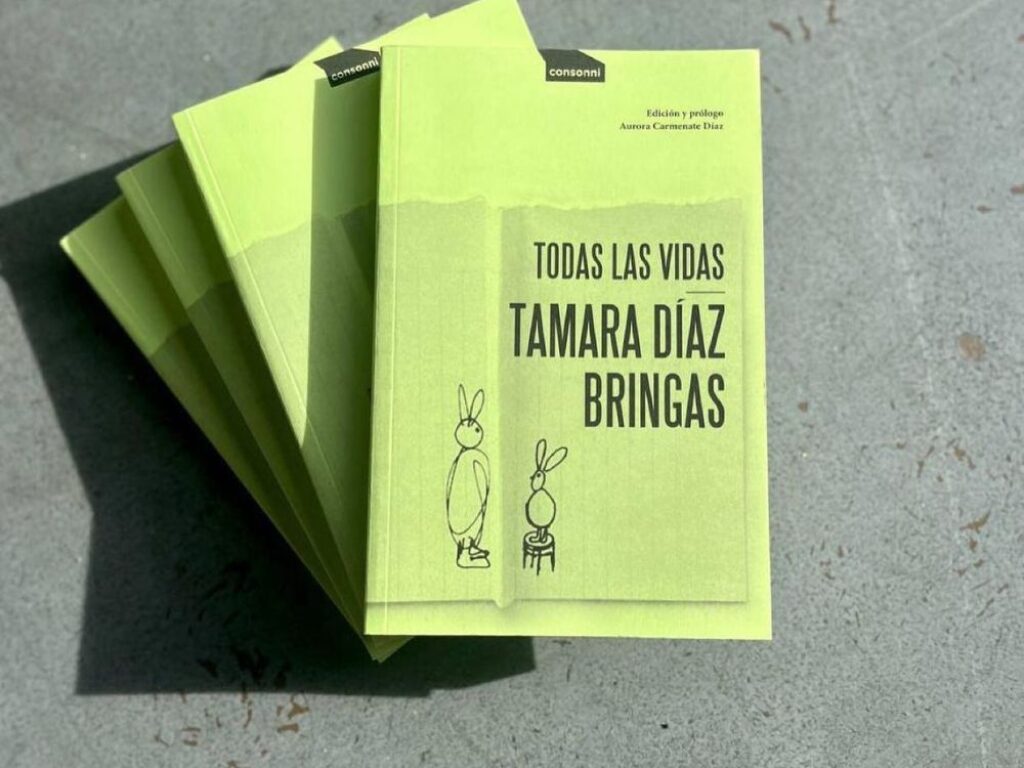libro de Tamara Díaz Bringas