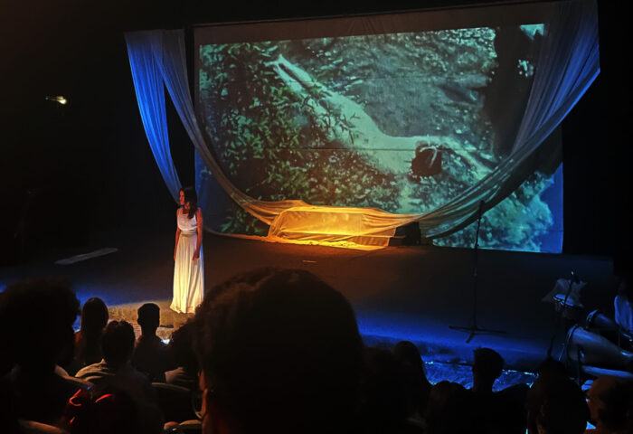 Escena de la obra "Ana, la gente está mirando la sangre" (2024), de Agniezka Hernández.