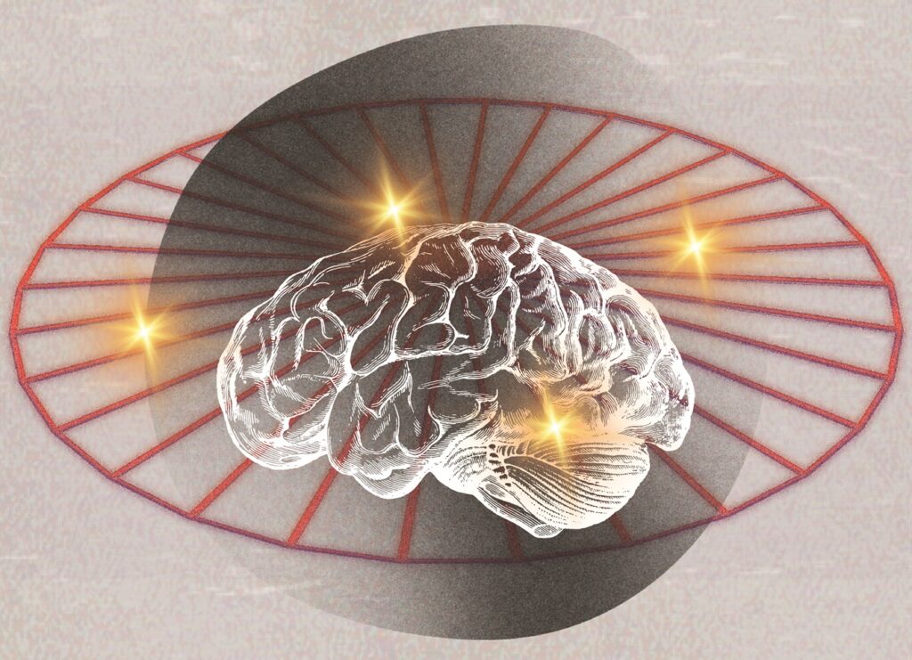 Imagen de un cerebro iluminado que simboliza la autosuperación del ghosting.