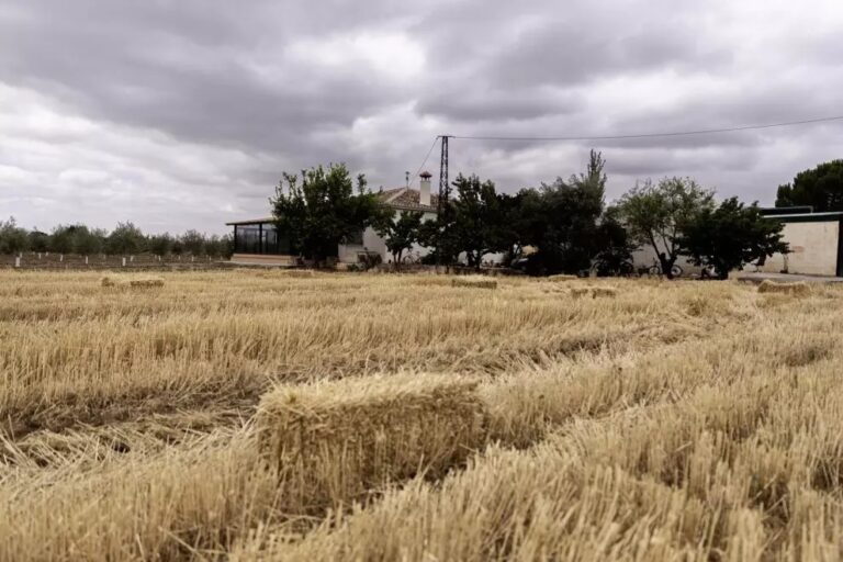 Vista de la vivienda donde fue presuntamente asesinada la mujer cubana.