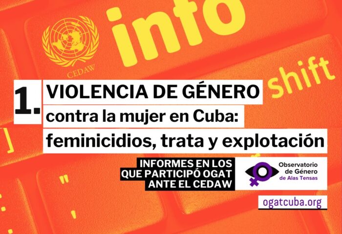 Informe 1 de OGAT en la CEDAW