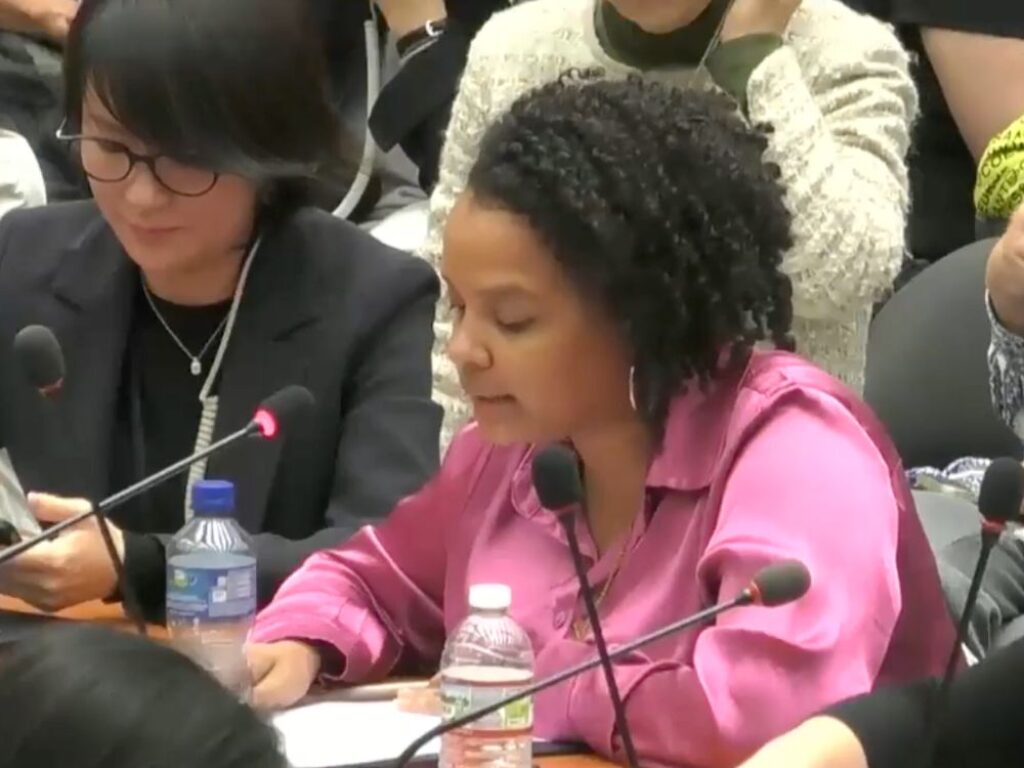 Yanelys Núñez ante el CEDAW