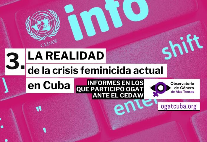 Informe de ogat en el CEDAW