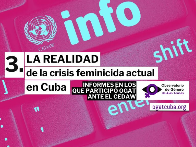 Informe de ogat en el CEDAW