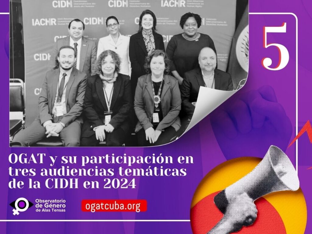 Audiencias temáticas de la CIDH en las que participó OGAT