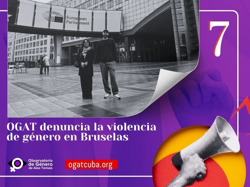 OGAT en el Parlamento de Bruselas