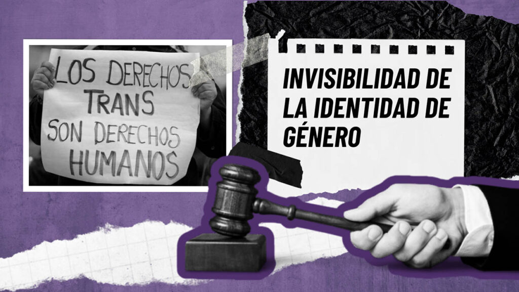 Los derechos trans son derechos humanos. Imagen: Laura Vargas