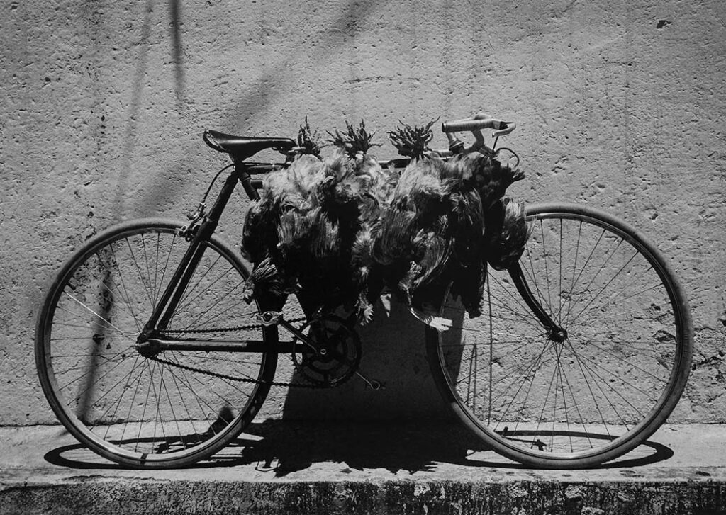 Graciela Iturbide: "El viaje" (1995).