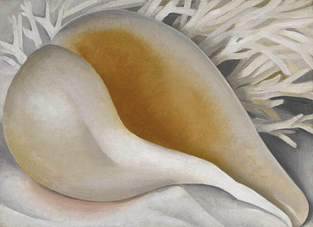 Georgia O'Keeffe: "Concha" (1937).