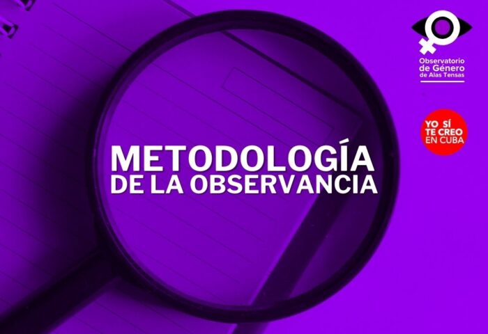 Ilustración sobre metodología de la observancia