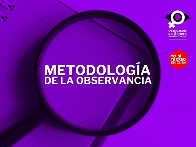 Ilustración sobre metodología de la observancia