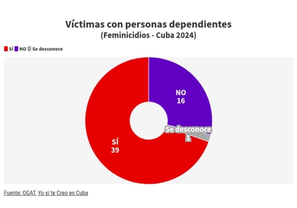 Informe de Ogat 2024