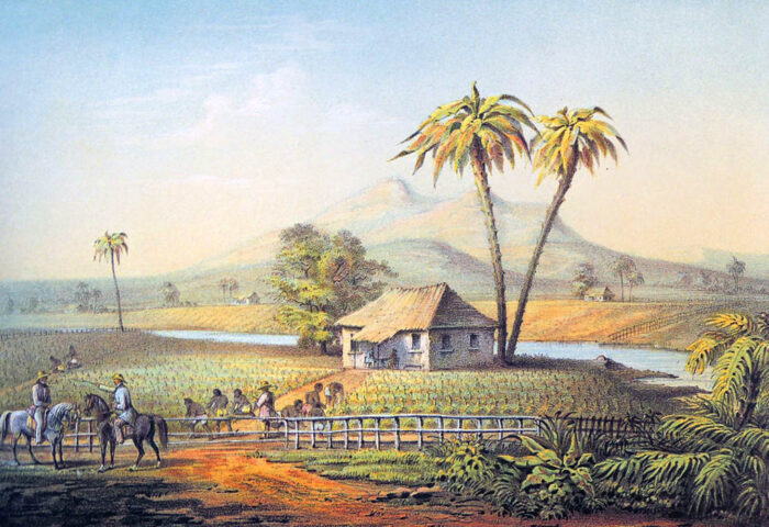 Paisaje campestre, grabado de Frédéric Mialhe en "Álbum pintoresco de la isla de Cuba" (1810-1881).