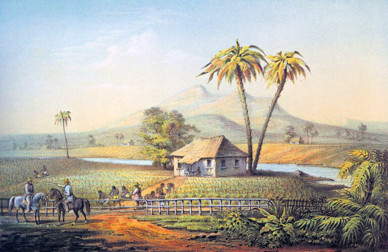 Paisaje campestre, grabado de Frédéric Mialhe en "Álbum pintoresco de la isla de Cuba" (1810-1881).