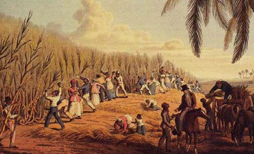 William Clark: "Esclavos en el corte de caña de azúcar" (1823).