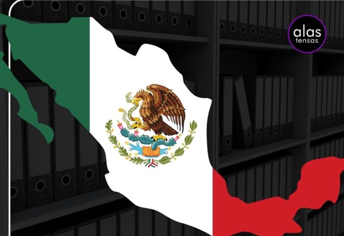 Ilustración para Directorio de recursos y ayudas para mujeres y niñas víctimas de violencia en México