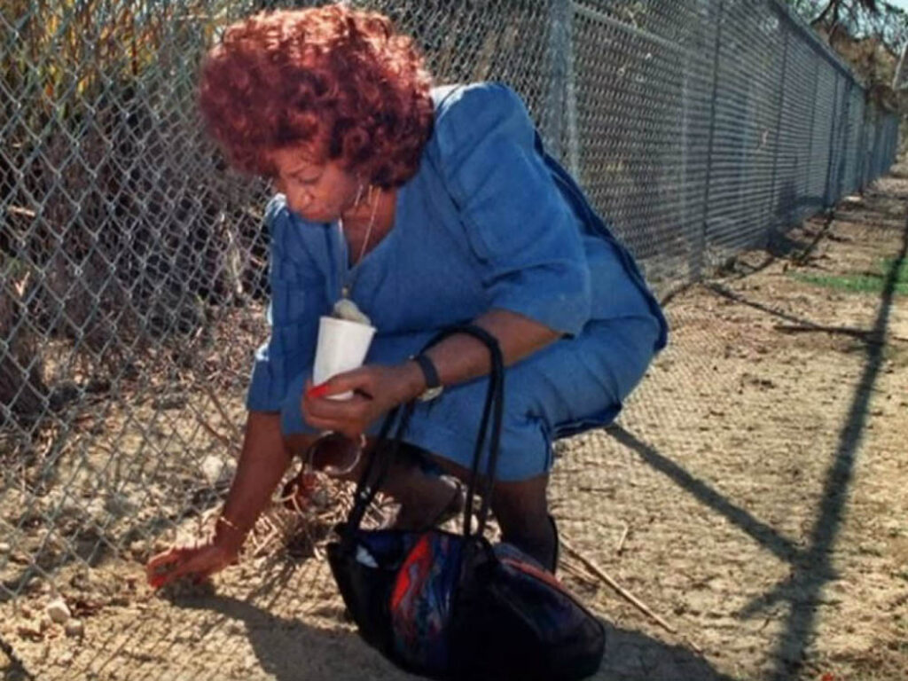 Celia Cruz recoge tierra cubana en la Base Naval de Guantánamo.