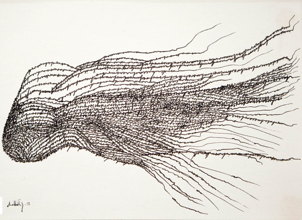 Ana Haterly: "Los años suspendidos" (1998).