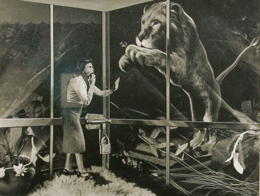 Grete Stern: "Animales" (1948).
