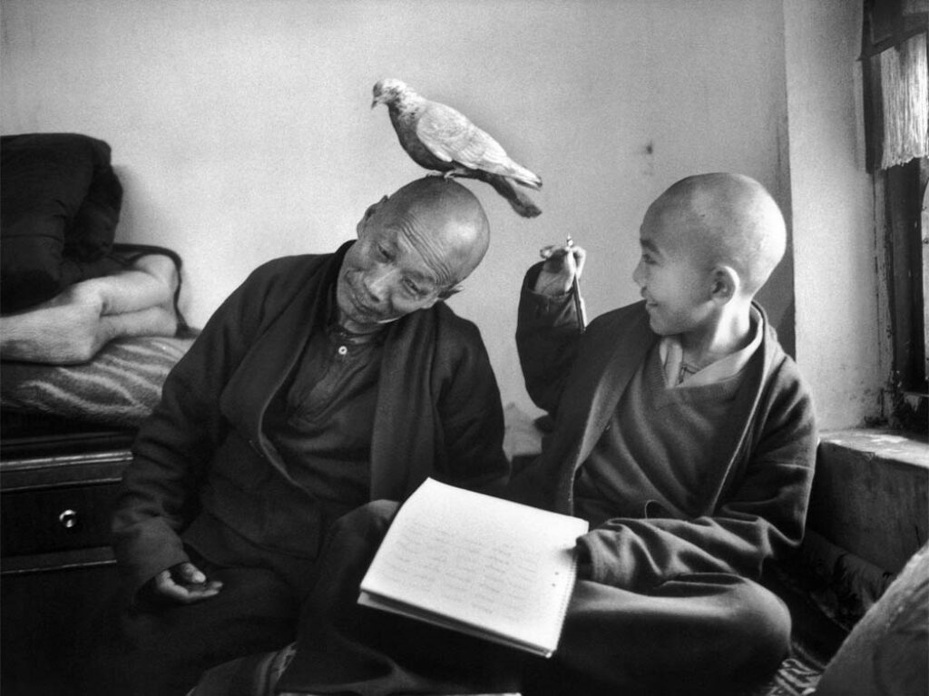 Martine Franck: "Monjes con paloma" (1966).