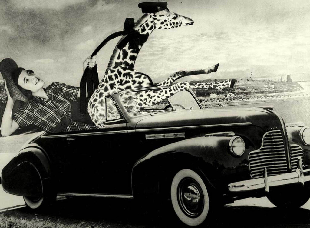 Grete Stern: Sin título (1949).