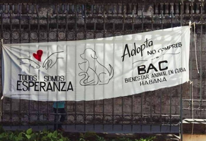 Cartel de feria de adopcion de BAC.
