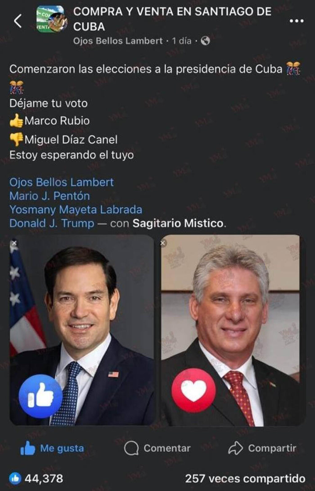 Captura de la encuesta publicada por Selena Lambert.