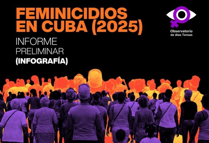 Ilustración para infografía sobre feminicidios 2025