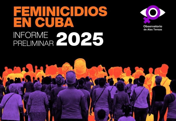 Ilustración para reel de informe preliminar de feminicidios en 2025