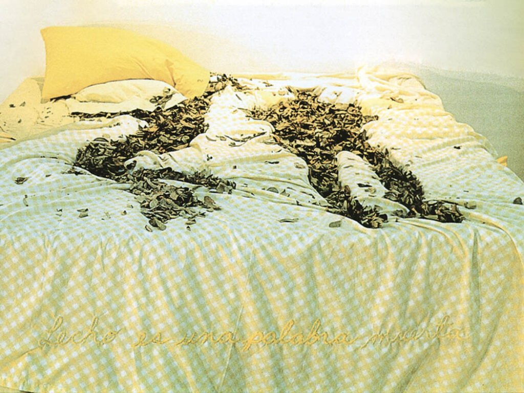 Patricia Belli: "Lecho II" (1999).