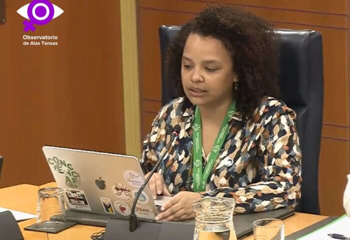 Yanelys Núñez ante el parlamento Vasco