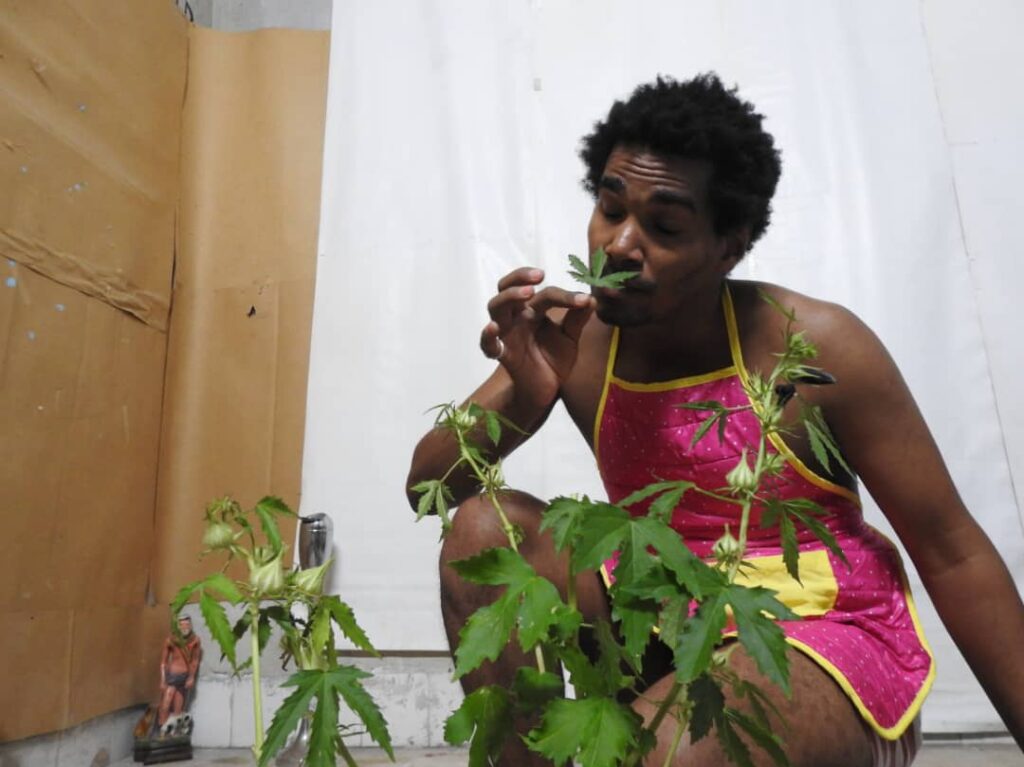 Causa N. 1 de 2019, obra de Luis Manuel Otero