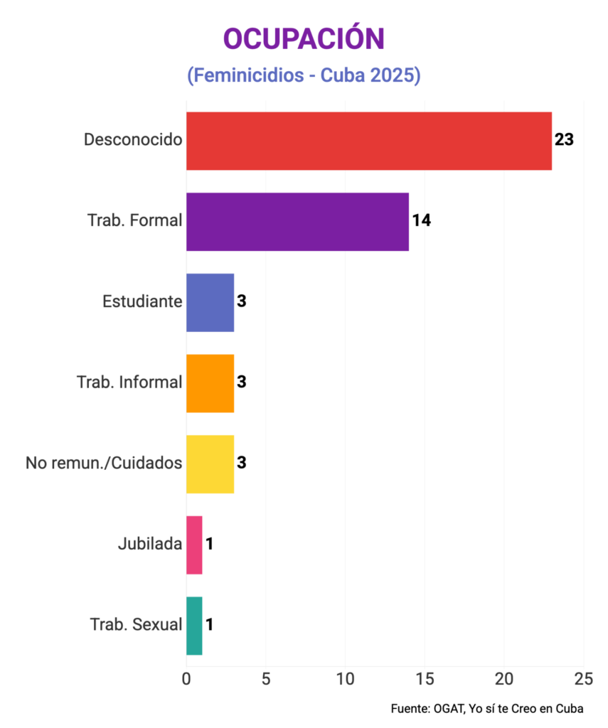 Ocupación de las víctimas de feminicidio